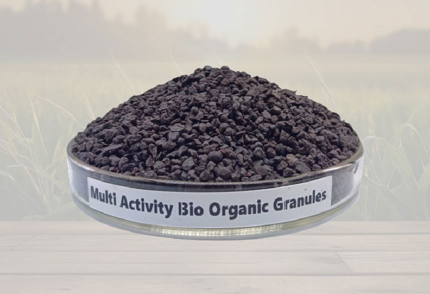 Multiactivity-Bio-Organic-granules