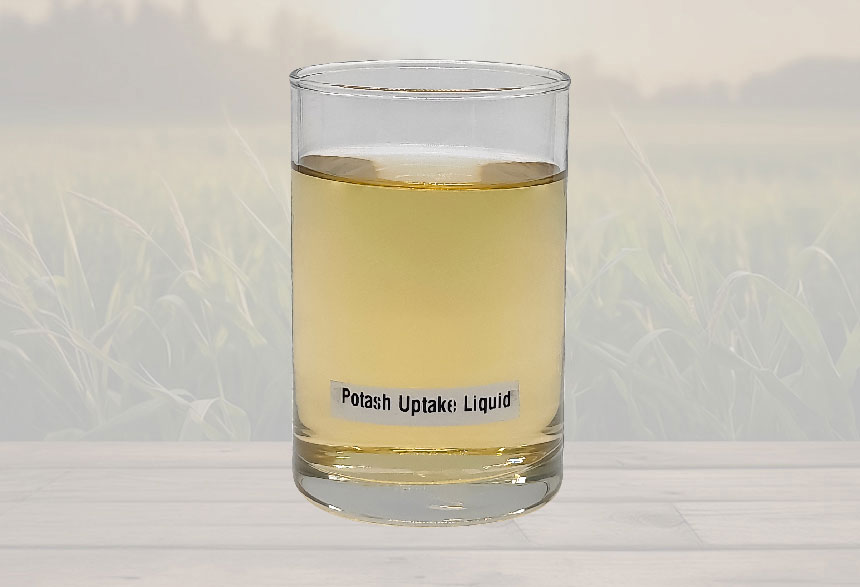 Potash-Uptake-Liquid