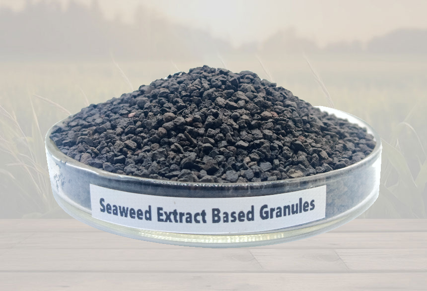 Seaweed-Extract-Based-Granules