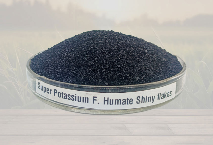 Super-Potassium-FH-Shiny-Flakes
